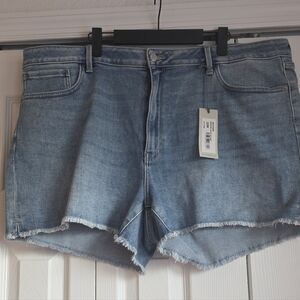 Just USA Light Blue Jean Shorts 22W